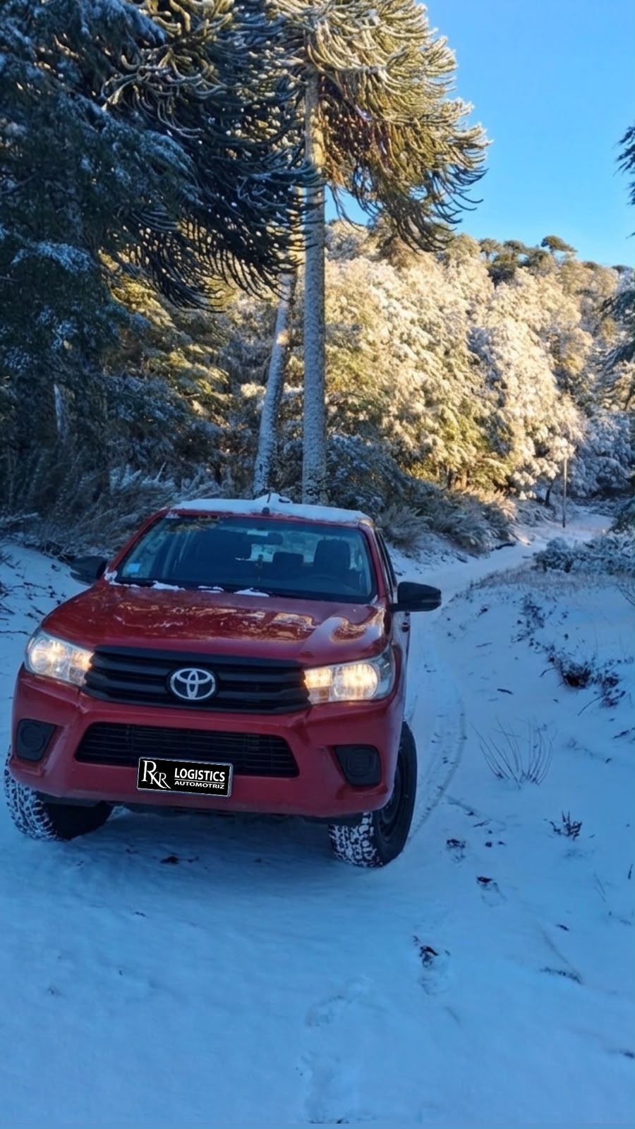 Camioneta Toyota roja en camino nevado
